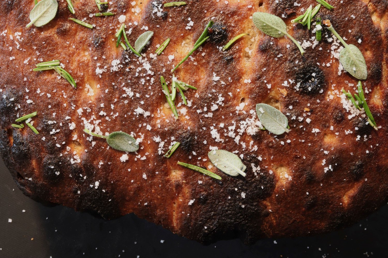 IMG_2876 verkleinert